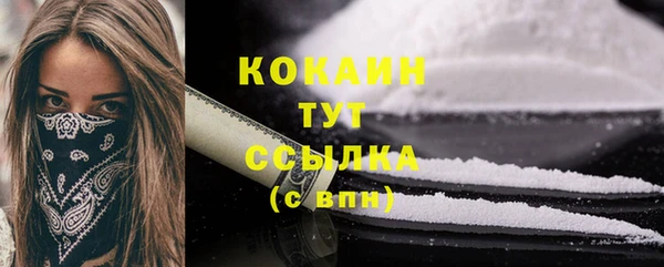прущие грибы Козельск