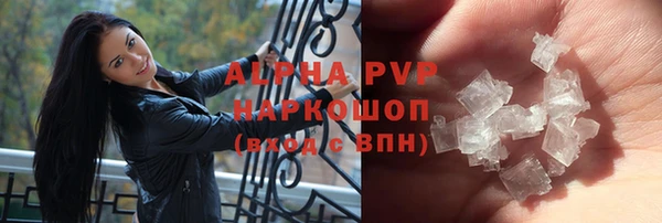 прущие грибы Козельск