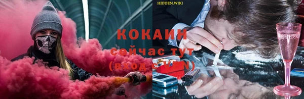 прущие грибы Козельск