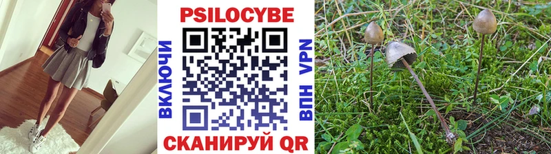Купить где  Покровск  Галлюциногенные грибы мицелий 